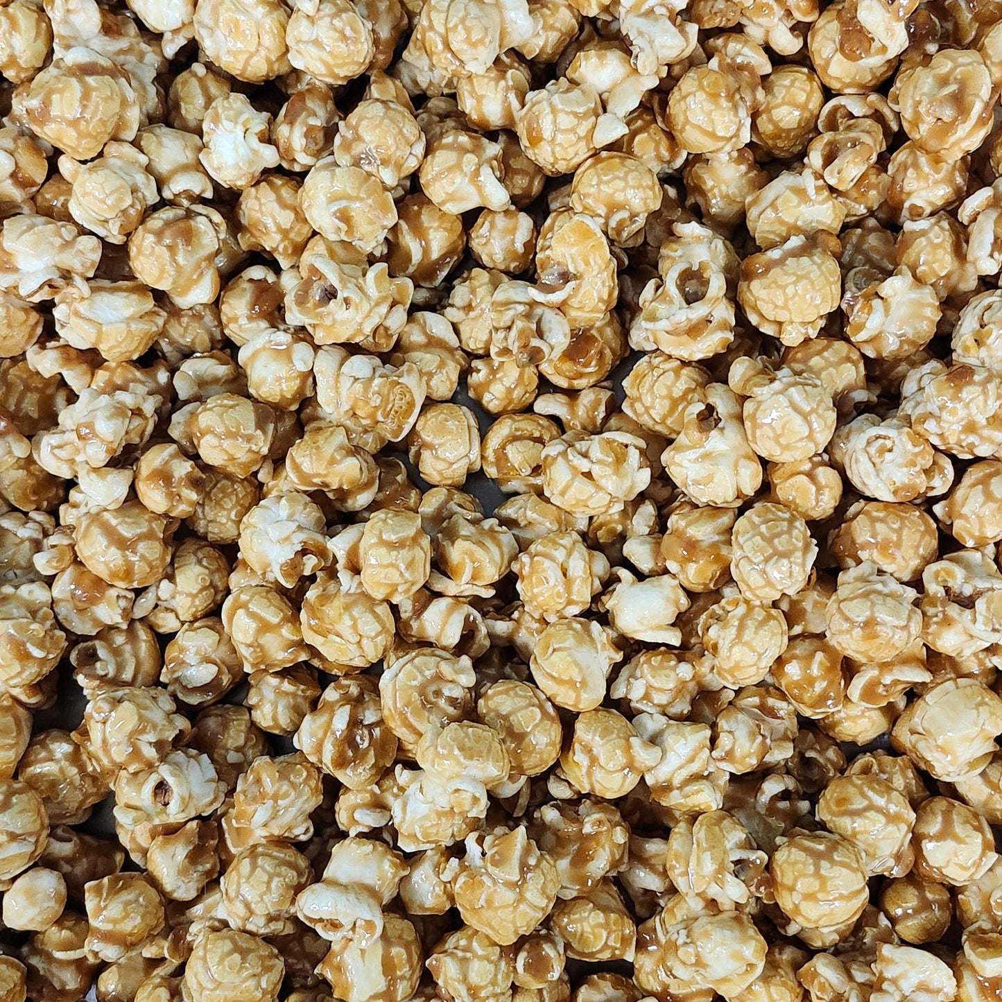 Caramel-Large Bag