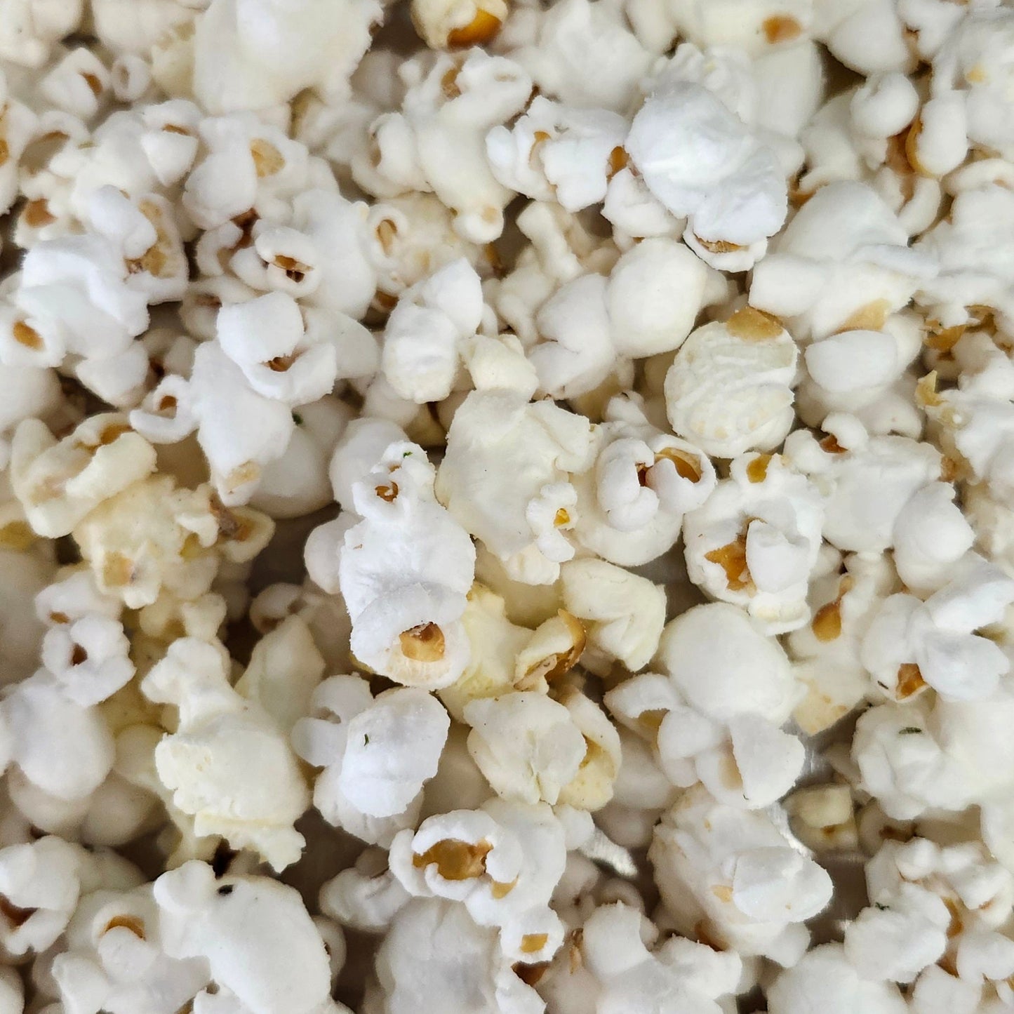 Garlic Parmesan-Large Bag